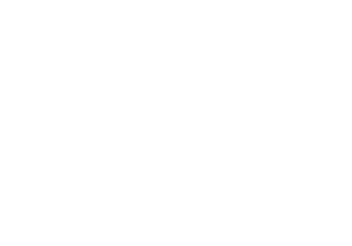Leonberger Alpakas Logo NEW LIMIT Maxhütte-Haidhof